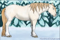 Horse Color:Buckskin Ice Roan Pearl 