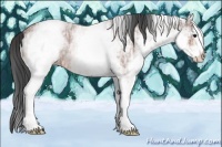 Horse Color:White Spotted Bay Ice Roan 