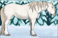 Horse Color:Perlino Ice Roan Splash 