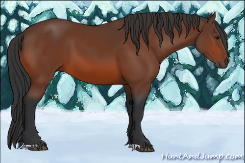 Horse Color:Brown 