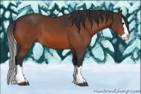 Horse Color:Bay Sabino Splash