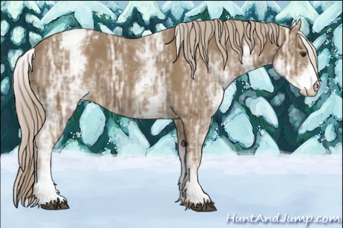 Horse Color:White Spotted Chocolate Palomino Ice Varnish
