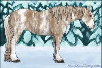 Horse Color:White Spotted Chocolate Palomino Ice Varnish