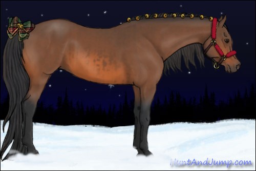 Horse Color:Bay  and Bay 