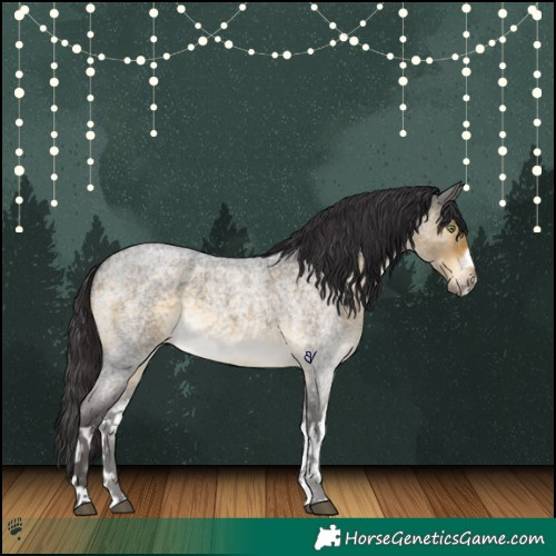 Horse Color:White Spotted Buckskin Roan 