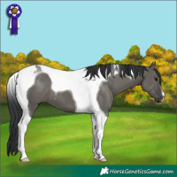 Horse Color:Grullo Tobiano