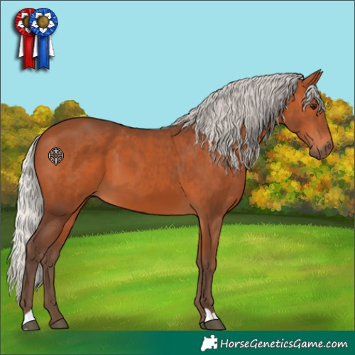 Horse Color:Silver Bay 