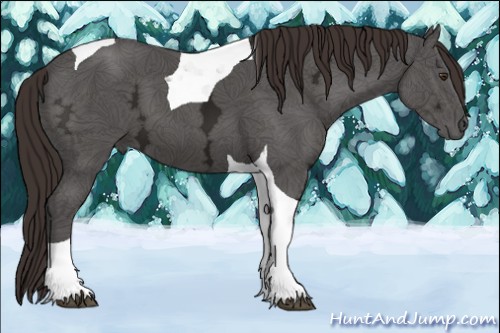 Horse Color:Liver Chestnut Ice Tobiano 