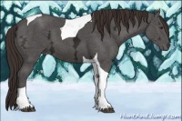 Horse Color:Liver Chestnut Ice Tobiano 