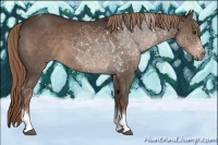 Horse Color:Liver Chestnut Tobiano 