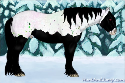 Horse Color:Liver Chestnut Chinchilla Ice Mushroom Splash