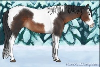 Horse Color:Brown Splash Tobiano 
