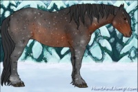 Horse Color:Brown Sabino 