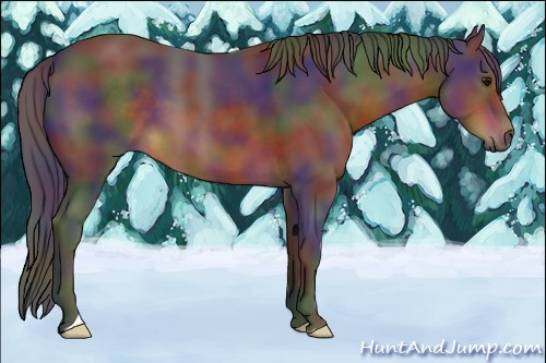 Horse Color:Nacre Brown 