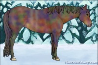 Horse Color:Nacre Brown 