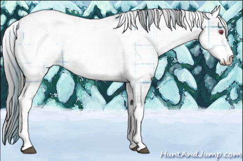 Horse Color:Plaid  White Spotted Brown Chinchilla Pearl Appaloosa 