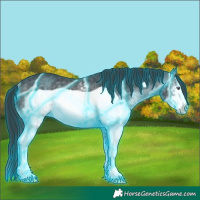 Horse Color:Thunderstruck White Spotted Brown Chinchilla Frame Rabicano 