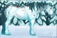 Horse Color:Thunderstruck White Spotted Brown Chinchilla Frame Rabicano 