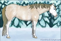 Horse Color:Watercolor White Spotted Buckskin Pearl Dun Sabino Splash 