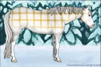 Horse Color:Plaid Silver Sable Cream Champagne Chinchilla Onyx Splash
