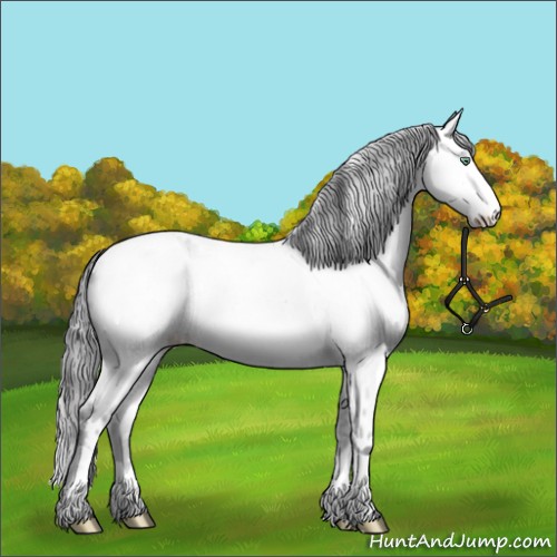 Horse Color:Platinum Amber Cream Champagne Dun Appaloosa