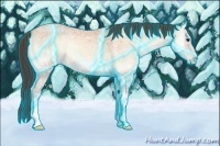 Horse Color:Thunderstruck Amber Champagne Ice Onyx