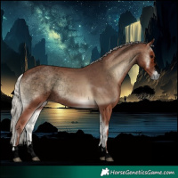 Horse Color:Void Silver Blue Onyx 