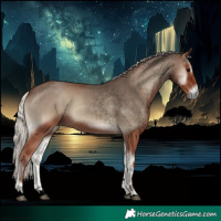 Horse Color:Void Silver Blue Onyx 