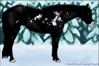 Horse Color:Liver Chestnut Chinchilla Mushroom Sabino Splash 