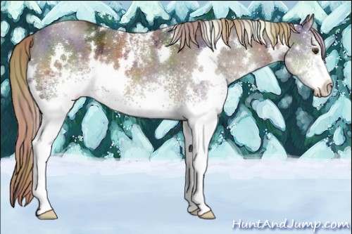 Horse Color:Nacre White Spotted Liver Chestnut Ice 
