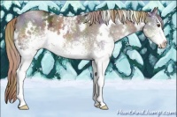 Horse Color:Nacre White Spotted Liver Chestnut Ice 