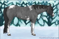 Horse Color:Blue Roan Tobiano Frame 