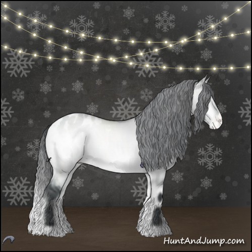 Horse Color:Brown Chinchilla Onyx Appaloosa 