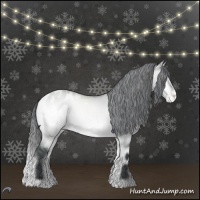 Horse Color:Brown Chinchilla Onyx Appaloosa 