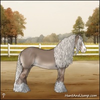 Horse Color:Liver Red Dun Mushroom Splash Rabicano 