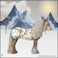 Horse Color:Chocolate Palomino Mushroom Tobiano Appaloosa Rabicano 