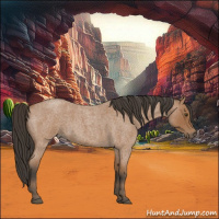 Horse Color:Bay Roan 