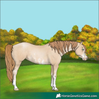 Horse Color:Smoky Black Pearl Sabino 