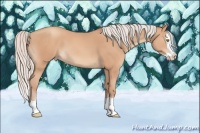 Horse Color:Silver Amber Champagne Splash