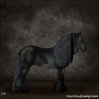 Horse Color:Void White Spotted Midnight Brown Chinchilla Tobiano 