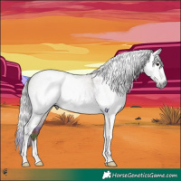 Horse Color:Gray Platinum Nacre Chocolate Silver Bay Roan Tobiano 