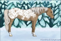 Horse Color:Silver Smoky Blue Roan Appaloosa Rabicano 