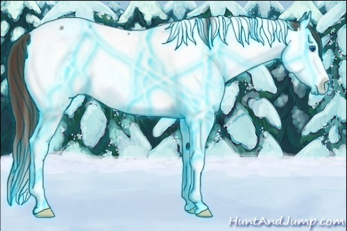 Horse Color:Thunderstruck Liver Chestnut Splash Tobiano Appaloosa 