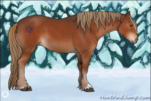 Horse Color:Liver Chestnut Sabino