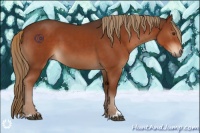Horse Color:Liver Chestnut Sabino