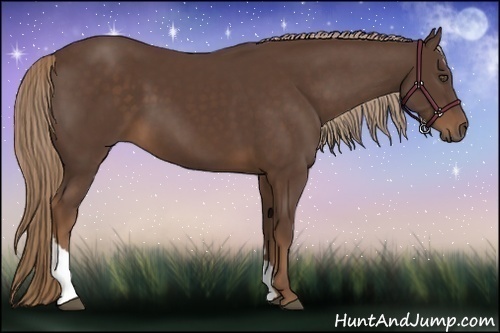 Horse Color:Liver Chestnut Tobiano 