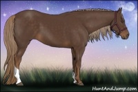 Horse Color:Liver Chestnut Tobiano