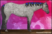 Horse Color:Smoky Grullo Ice Roan 