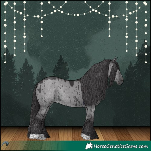 Horse Color:Smoky Grullo Chinchilla Rabicano Brindle 