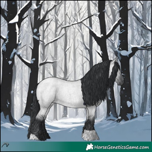 Horse Color:Grullo Chinchilla Roan